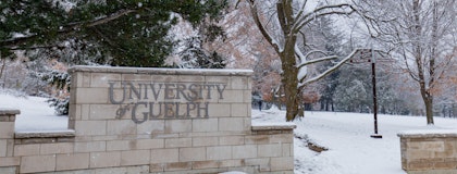 University of Guelph Logo on brick wall in winter