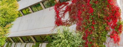 MacNaughton building in the University of Guelph in the spring time
