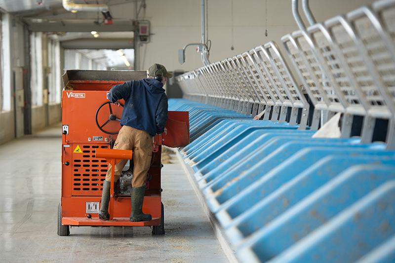 A worker operates a machine near a row of feeding bins inside a barn.