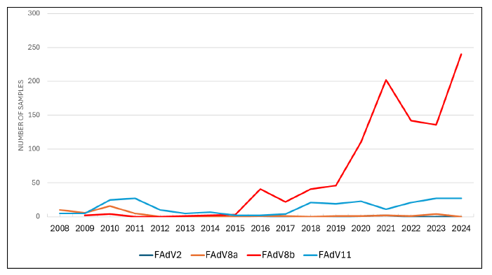 Figure 1. Detection of inclusion body hepatitis-related fowl adenovirus genotypes, 2008–2024