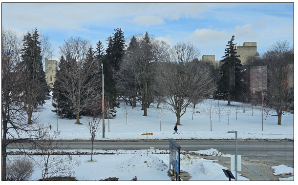 The view from the Director’s office