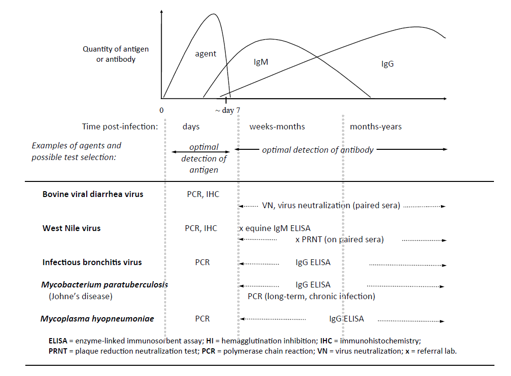 a graphical overview of the usual course of an infectious disease, which gives some insight into test selection