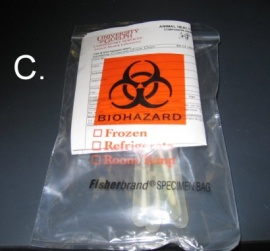 Biohazard submission bag, submission form in proper pocket