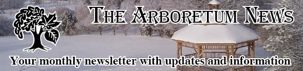 newsletter header - photo of snowy West Lawn and gazebo