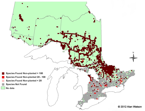 Ontario Tree Atlas map of non-planted Black Spruce. 1995-1999.
