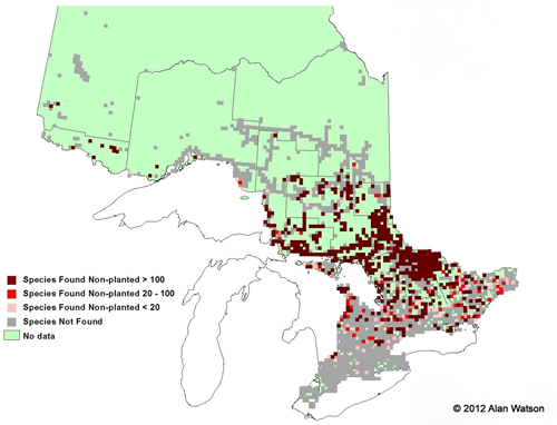 Ontario Tree Atlas map of non-planted Red Pine. 1995-1999.