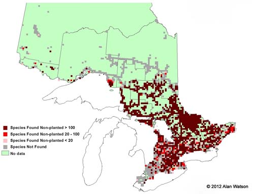 Ontario Tree Atlas map of non-planted Eastern White Pines. 1995-1999.