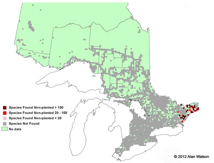 Ontario Tree Atlas map of non-planted Gray Birch. 1995-1999.