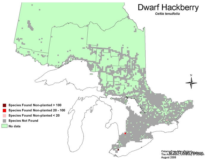 Ontario Tree Atlas map of non-planted Dwarf Hackberry. 1995-1999.