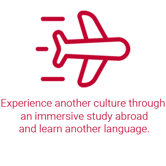 Airplane. Experience another culture through an immersive study abroad and learn another language.