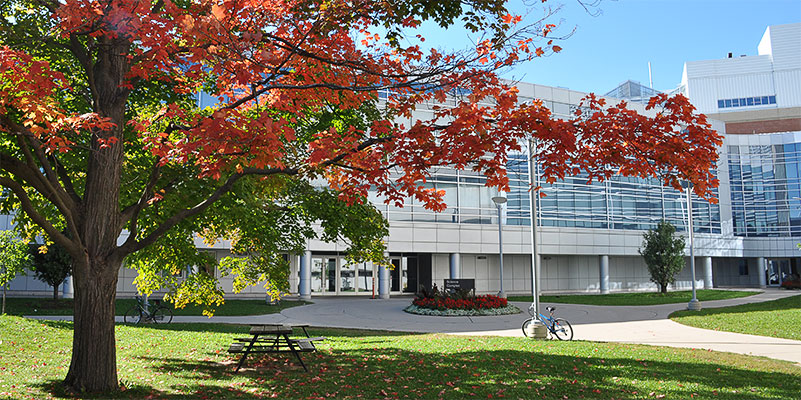 Image of a tree in autumn in front of the Summerlee Science Complex