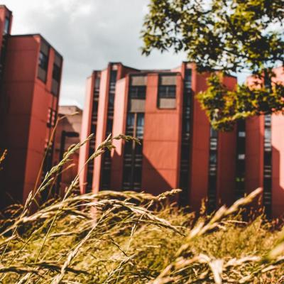 a mow free zone behind south residence
