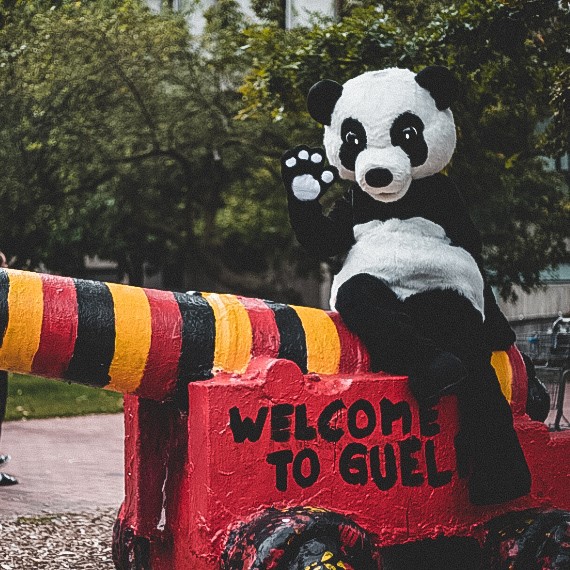 WWF panda sits on the cannon and waves