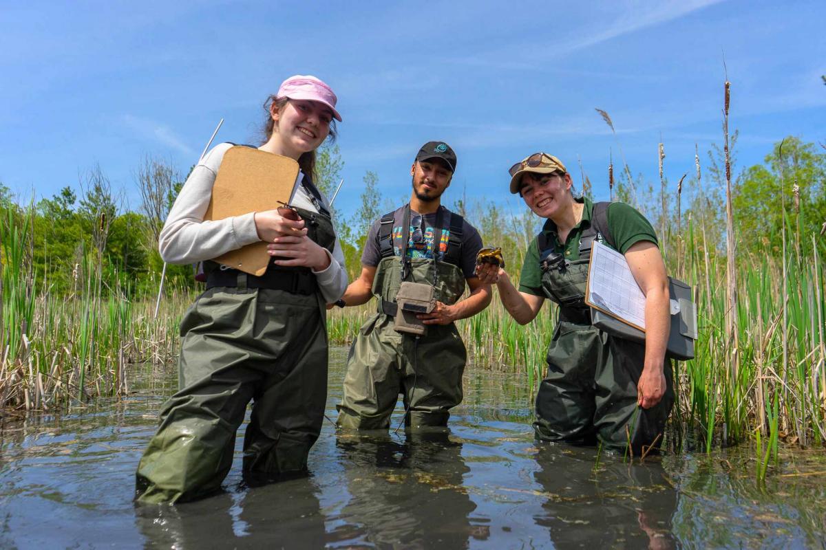 Students with a Blanding's turtle they found in a wet workshop, led by Christine Drader and Rachelle Fortier from the Toronto Zoo's Adopt-A-Pond Wetland Conservation Program. 