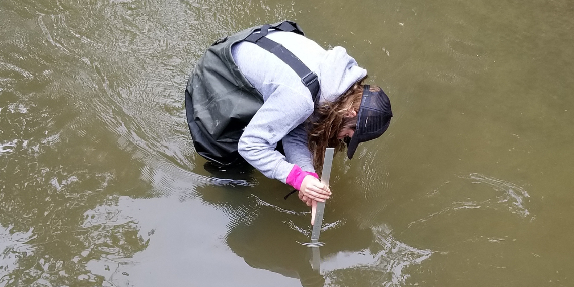 Marie Gutgesell collects a sample in a stream