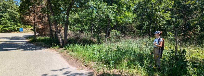 Researcher working in a park