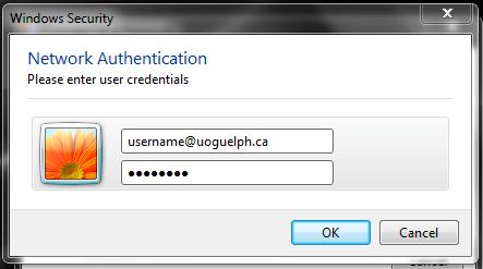 Network Authentication