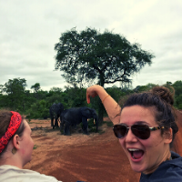 Student spots and elephant on a Safari tour in Ghana