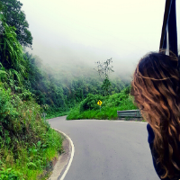 Student looking through the window of a van as their drive through a rainforest in Ecuador