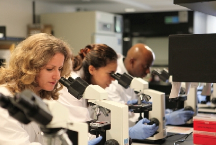 Food scientists working in microbiology laboratory