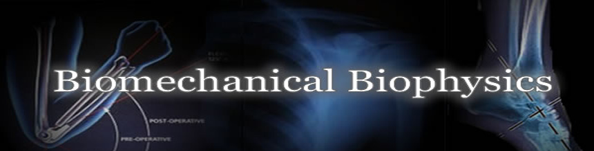 Biolechanical Biophysiscs Logo