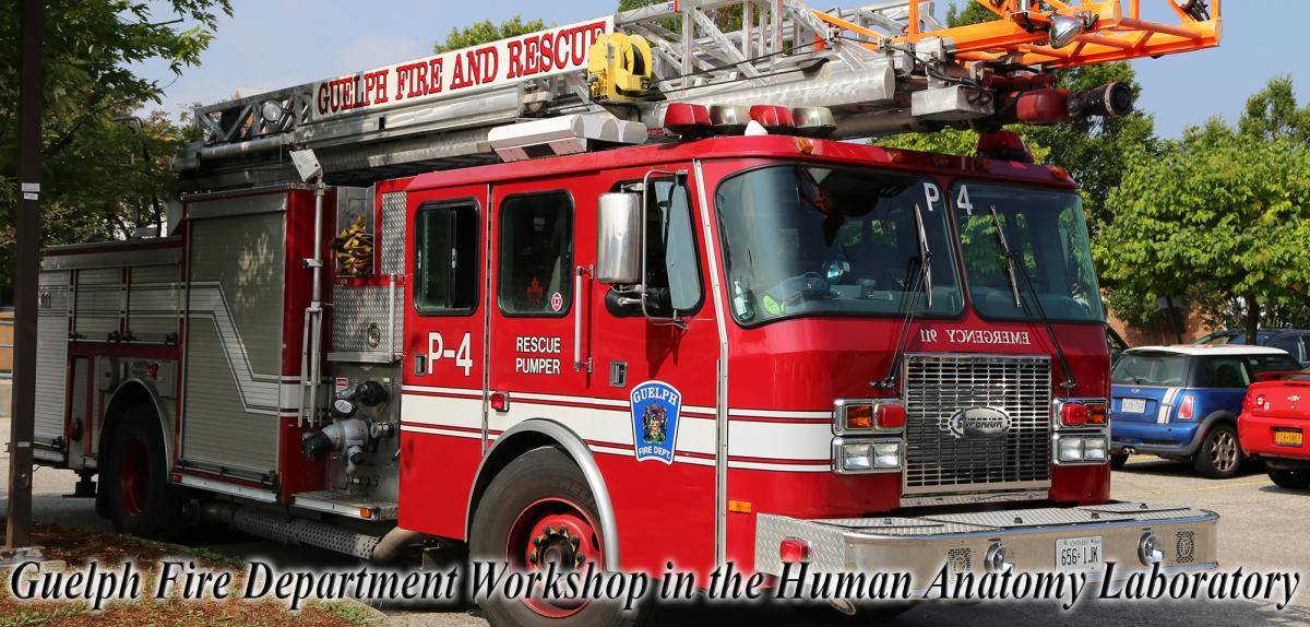 Guelph Fire Department Workshop in the Human Anatomy Laboratory photo album