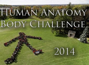 Human Anatomy Body  Challenge - 2014 - photo gallery