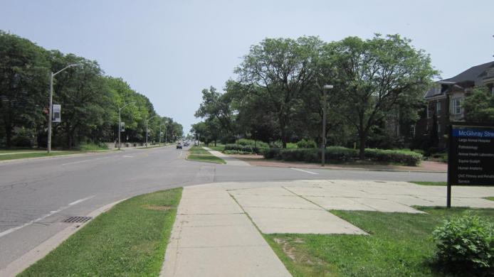 Intersection at McGilvray Street and Gordon Street, facing south.