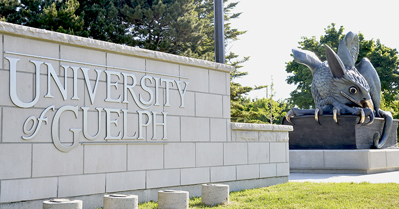  University of Guelph sign and Gryphon