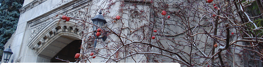 Late Fall by Johnston Hall