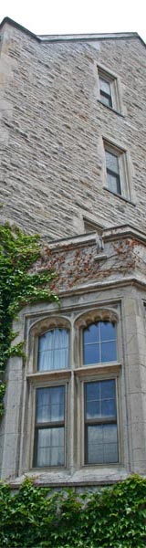 Ivy Window