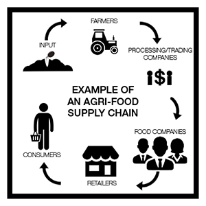 Example of an Agri-Food Supply Chain