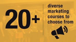 20+ diverse marketing courses to choose from
