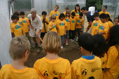 Garden to Table