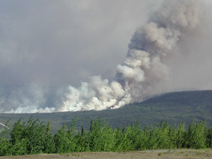 The 2003 Erickson Creek Fire burned more than a month and affected about 48,000 hectares of boreal forest.