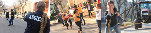 Aggies pulling tractors