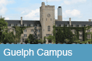 Guelph Campus button