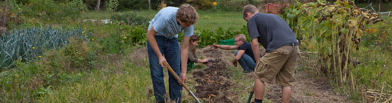 Four male students working in the urban organic farm