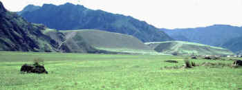 B2bwx.jpg (30503 �ֽ�)