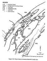 Dumbrell.jpg (26263 �ֽ�)