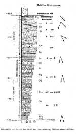 Kelly.jpg (18867 �ֽ�)