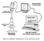 MacKay.jpg (15824 �ֽ�)