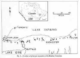 image_01.jpg (755202 �ֽ�)