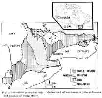 image_10.jpg (853169 �ֽ�)