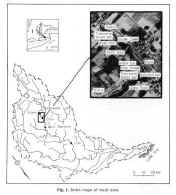 image_13.jpg (619923 �ֽ�)