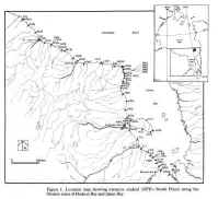 image_38.jpg (692264 �ֽ�)