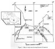 image_42.jpg (859310 �ֽ�)