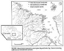 image_47.jpg (802579 �ֽ�)