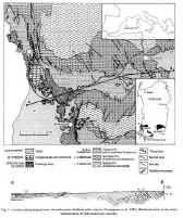 image_51.jpg (2189627 �ֽ�)