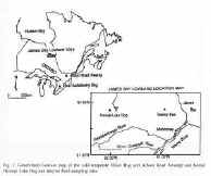 image_66.jpg (585503 �ֽ�)